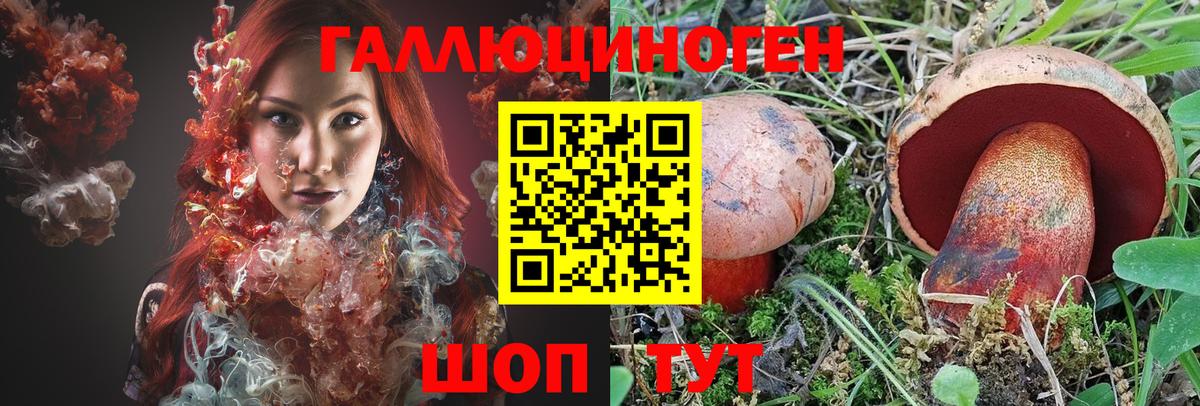 Новосибирск  Галлюциногенные грибы Cubensis  Вход с VPN 